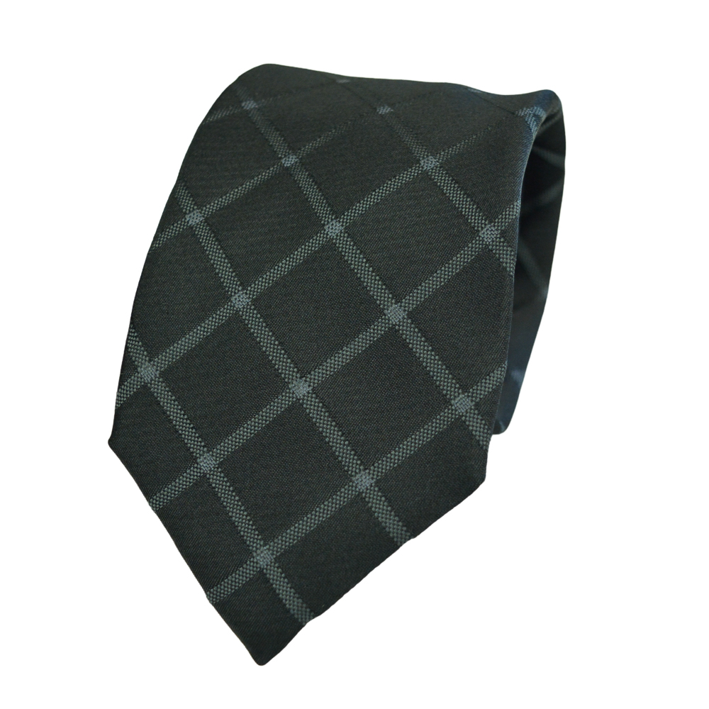 DSC_0306 FERRE Silk Tie - e-ties.gr